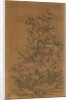 Ko Ssu Panel: Rocks and Narcissus, 1700s - 1800s by Unknown