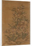 Ko Ssu Panel: Rocks and Narcissus, 1700s - 1800s by Unknown