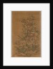Ko Ssu Panel: Rocks and Narcissus, 1700s - 1800s by Unknown