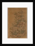 Ko Ssu Panel: Rocks and Narcissus, 1700s - 1800s by Unknown