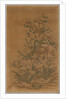 Ko Ssu Panel: Rocks and Narcissus, 1700s - 1800s by Unknown