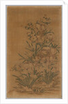 Ko Ssu Panel: Rocks and Narcissus, 1700s - 1800s by Unknown