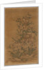 Ko Ssu Panel: Rocks and Narcissus, 1700s - 1800s by Unknown