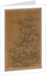Ko Ssu Panel: Rocks and Narcissus, 1700s - 1800s by Unknown