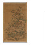 Ko Ssu Panel: Rocks and Narcissus, 1700s - 1800s by Unknown