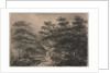 Landscape with a Mill by Charles Norris
