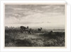 Landscape with Deer, c. 1840 by Karl Bodmer