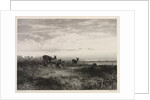 Landscape with Deer, c. 1840 by Karl Bodmer