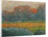 Landscape with Figure and Houses, c. 1891 by Claude-Emile Schuffenecker