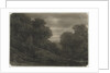 Landscape with Trees by Jean-Philippe George
