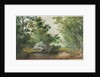 Landscape with Wooded Stream and Boulder, c. 1880s by William Allen Wall