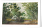 Landscape with Wooded Stream and Boulder, c. 1880s by William Allen Wall