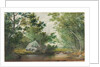 Landscape with Wooded Stream and Boulder, c. 1880s by William Allen Wall