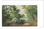 Landscape with Wooded Stream and Boulder, c. 1880s by William Allen Wall