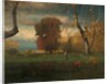 Landscape, 1888 by George Inness