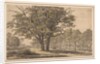 Landscape, first half 1800s by Georges Michel