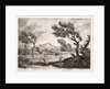 Landscape by Adrien Manglard