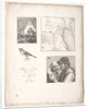 Lart de la litographie:Four Subjects after Falger by Alois Senefelder
