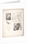 Lart de la litographie:Four Subjects after Falger by Alois Senefelder
