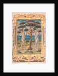 Leaf from a Book of Hours: Adam and Eve and the Fall of Man…, c. 1510 by Unknown