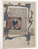 Leaf from a Psalter: Initial D: A Fool Rebuked by God, c. 1300-1320 by Unknown