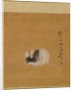 Leaf from Album of Seasonal Themes: Crescent Moon, 1847 by Shibata Zeshin