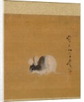 Leaf from Album of Seasonal Themes: Crescent Moon, 1847 by Shibata Zeshin