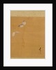 Leaf from Album of Seasonal Themes: Maple Leaves and Feather, 1847 by Shibata Zeshin