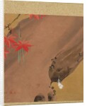 Leaf from Album of Seasonal Themes: Moths, 1847 by Shibata Zeshin