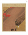 Leaf from Album of Seasonal Themes: Moths, 1847 by Shibata Zeshin