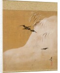 Leaf from Album of Seasonal Themes: New Ferns, 1847 by Shibata Zeshin