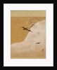 Leaf from Album of Seasonal Themes: New Ferns, 1847 by Shibata Zeshin