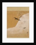 Leaf from Album of Seasonal Themes: New Ferns, 1847 by Shibata Zeshin