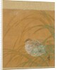Leaf from Album of Seasonal Themes: Shoreline with Birds, 1847 by Shibata Zeshin