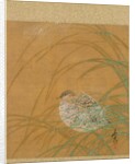 Leaf from Album of Seasonal Themes: Shoreline with Birds, 1847 by Shibata Zeshin
