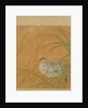 Leaf from Album of Seasonal Themes: Shoreline with Birds, 1847 by Shibata Zeshin