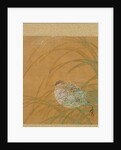 Leaf from Album of Seasonal Themes: Shoreline with Birds, 1847 by Shibata Zeshin