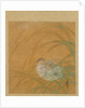 Leaf from Album of Seasonal Themes: Shoreline with Birds, 1847 by Shibata Zeshin