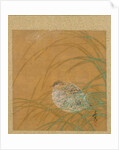 Leaf from Album of Seasonal Themes: Shoreline with Birds, 1847 by Shibata Zeshin