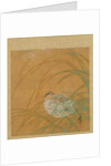 Leaf from Album of Seasonal Themes: Shoreline with Birds, 1847 by Shibata Zeshin