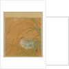 Leaf from Album of Seasonal Themes: Shoreline with Birds, 1847 by Shibata Zeshin
