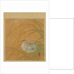 Leaf from Album of Seasonal Themes: Shoreline with Birds, 1847 by Shibata Zeshin