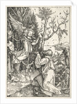 Life of the Virgin: Joachim and the Angel, c. 1504 by Albrecht Dürer