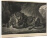 Lion de lAtlas, 1829 by Eugène Delacroix