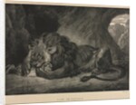 Lion de lAtlas, 1829 by Eugène Delacroix