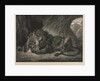Lion de lAtlas, 1829 by Eugène Delacroix