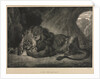 Lion de lAtlas, 1829 by Eugène Delacroix