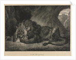Lion de lAtlas, 1829 by Eugène Delacroix
