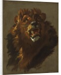 Lion, 1750s by Giuseppe Baldrighi