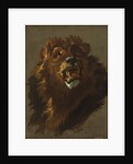 Lion, 1750s by Giuseppe Baldrighi